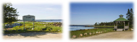 Drinking Brook Park Clam Point Cape Sable Island