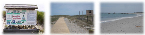 South Side Beach Picnic Site