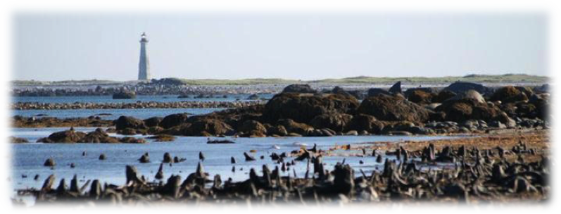 hawk beach