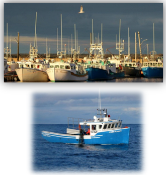 marina and fishing boat