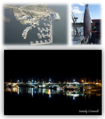 wharves of barrington